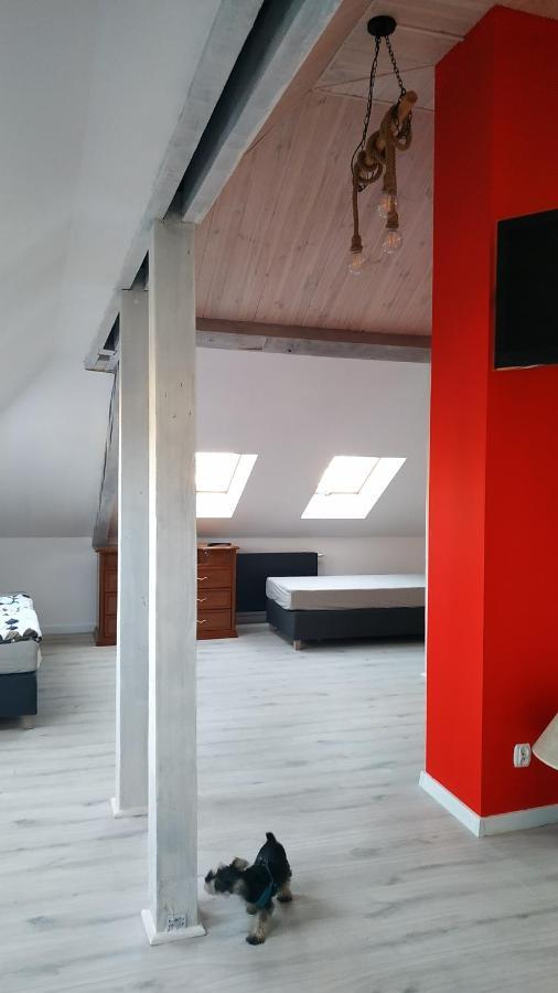 Apartament Witkacego Czerwony スウプスク エクステリア 写真