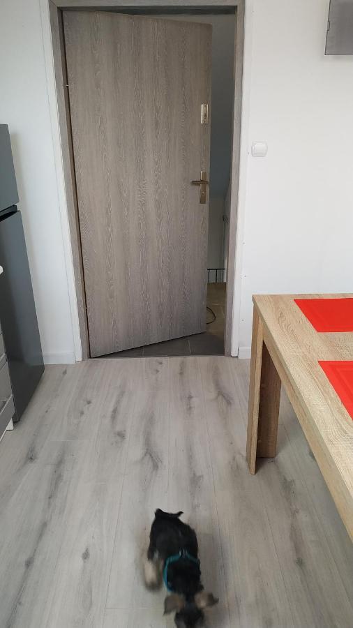 Apartament Witkacego Czerwony スウプスク エクステリア 写真
